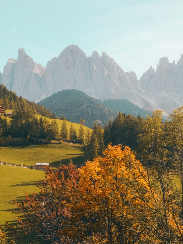 Production Natures 02